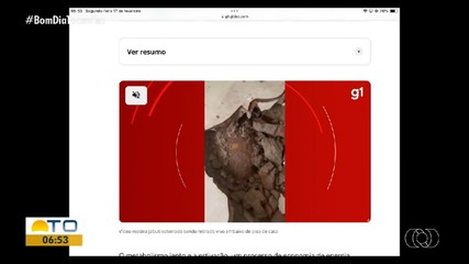 Veja o que é notícia no portal g1 Tocantins