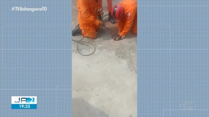 Bombeiros resgatam filhote de cão que caiu em fossa, em Paraíso do Tocantins