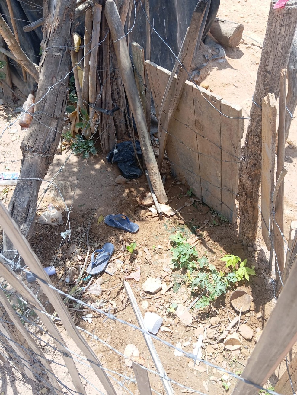 Emily Yasmin da Silva Santos brincava ao redor de casa ao ser eletrocutada — Foto: Redes sociais