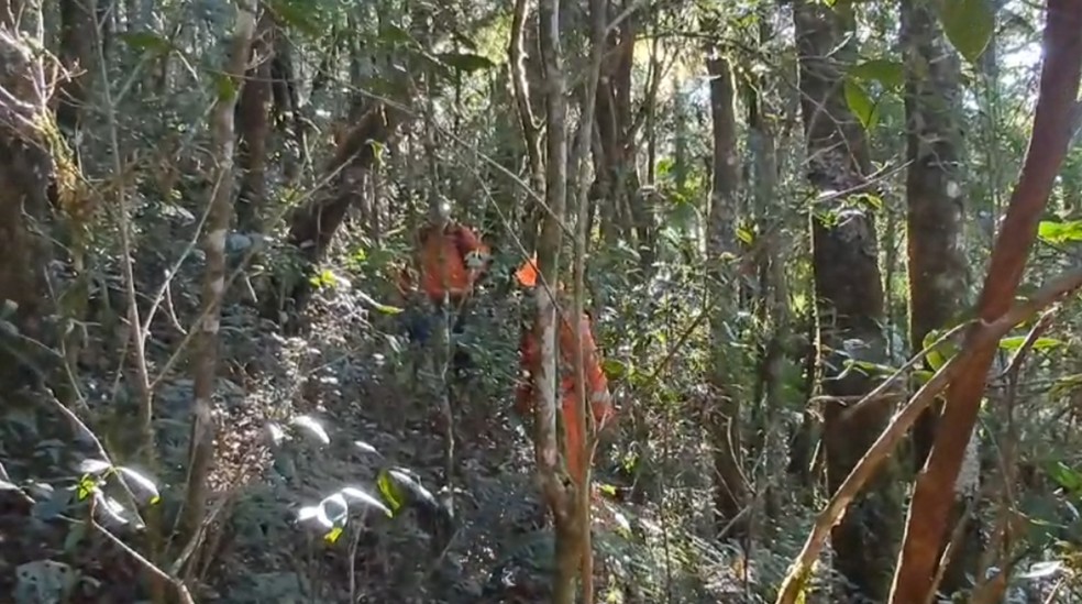 Mata fechada e frio dificultam buscas por guia de turismo desaparecido em Monte Verde, no Sul de Minas — Foto: Reprodução / Corpo de Bombeiros