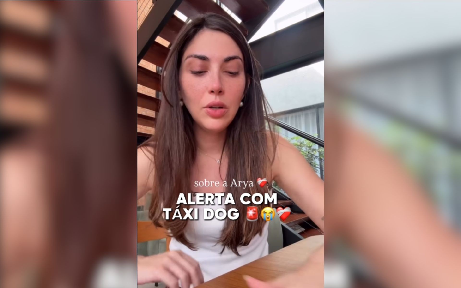 Influenciadora desabafa após morte de cachorra de estimação por excesso de calor em taxi-dog; vídeo 