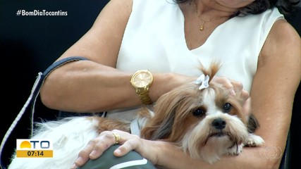 Procura por plano de saúde para pets cresce em Palmas