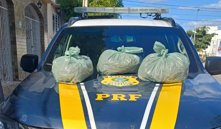PRF apreende mais de 10 kg de 'supermaconha' durante fiscalização na BR-232, em Sertânia