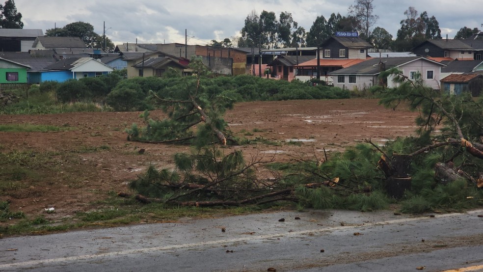 São Joaquim, na Serra catarinense, após tempestade severa — Foto: Mycchel Legnaghi/Divulgação