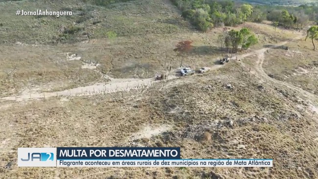 Produtores rurais de 10 cidades goianas so multados por desmatamento ilegal
