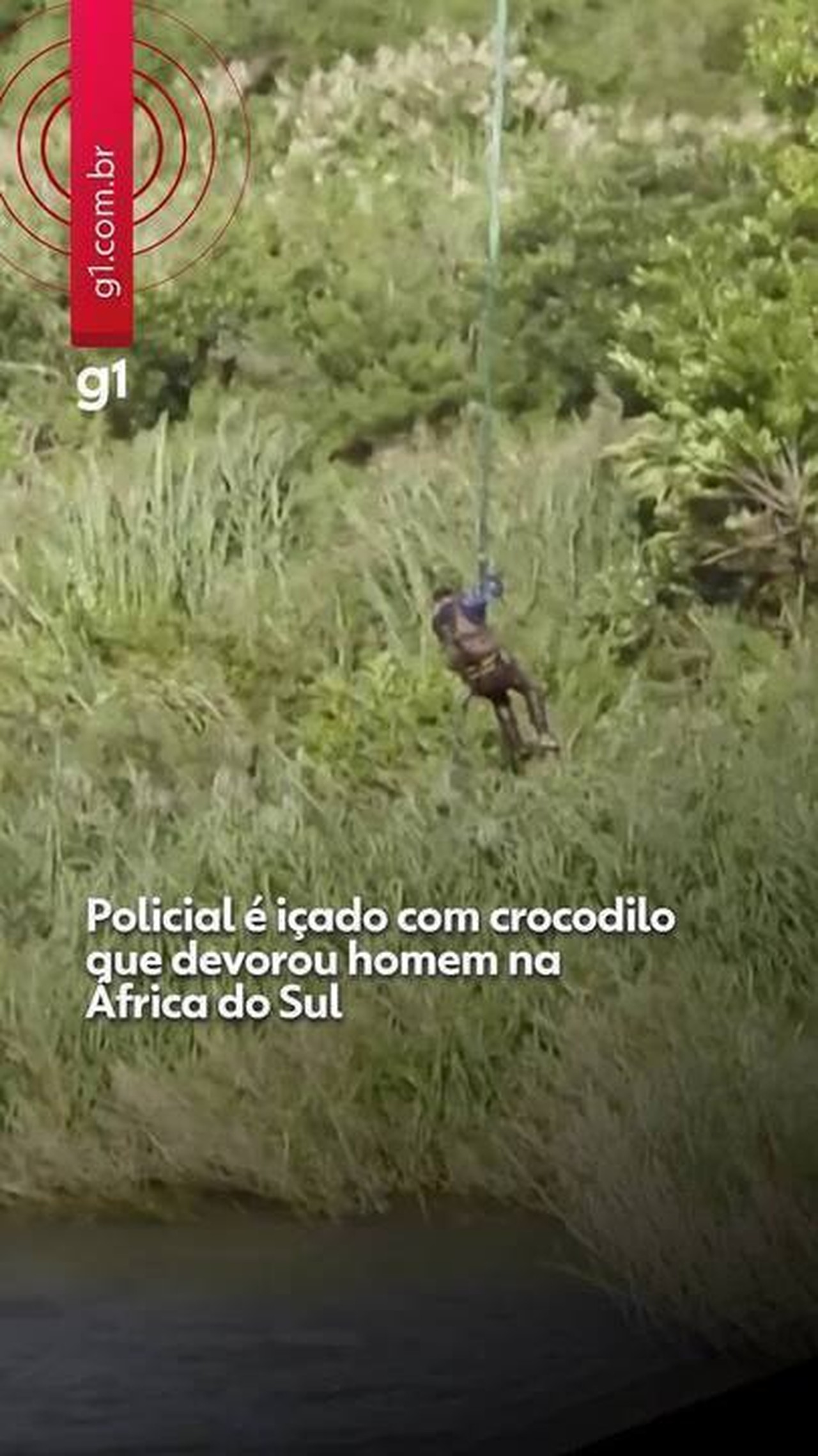 VÍDEO: Policial é içado de helicóptero com crocodilo que devorou homem na África do Sul