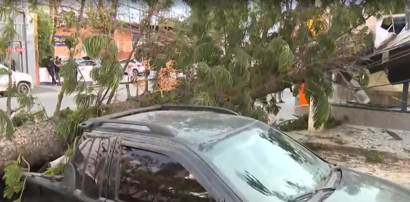 VÍDEO: Árvore de grande porte cai e quase atinge ciclista durante vendaval de 78 km/h em SP
