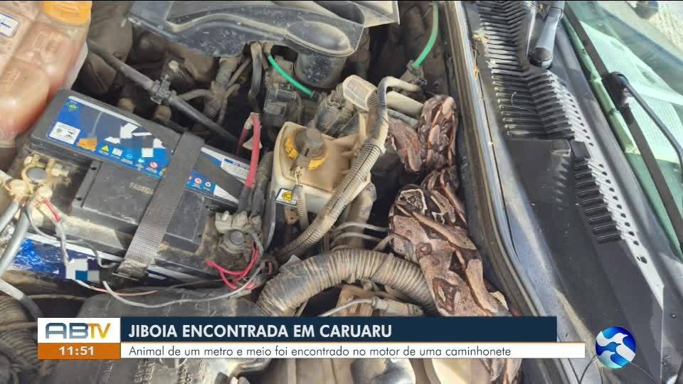 VÍDEOS: AB1 de segunda-feira, 8 de junho de 2026