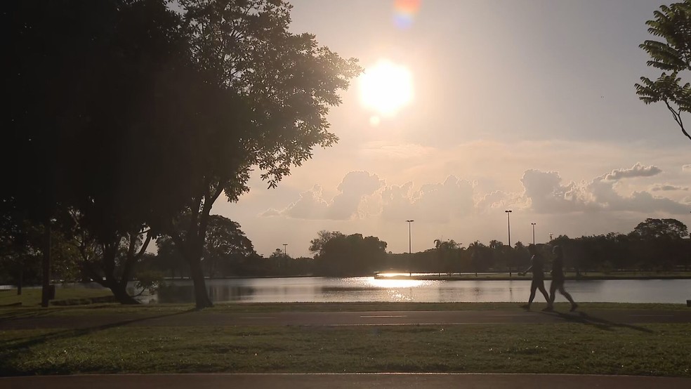 Dia de sol em Brasília, no Parque da Cidade — Foto: TV Globo/Reprodução