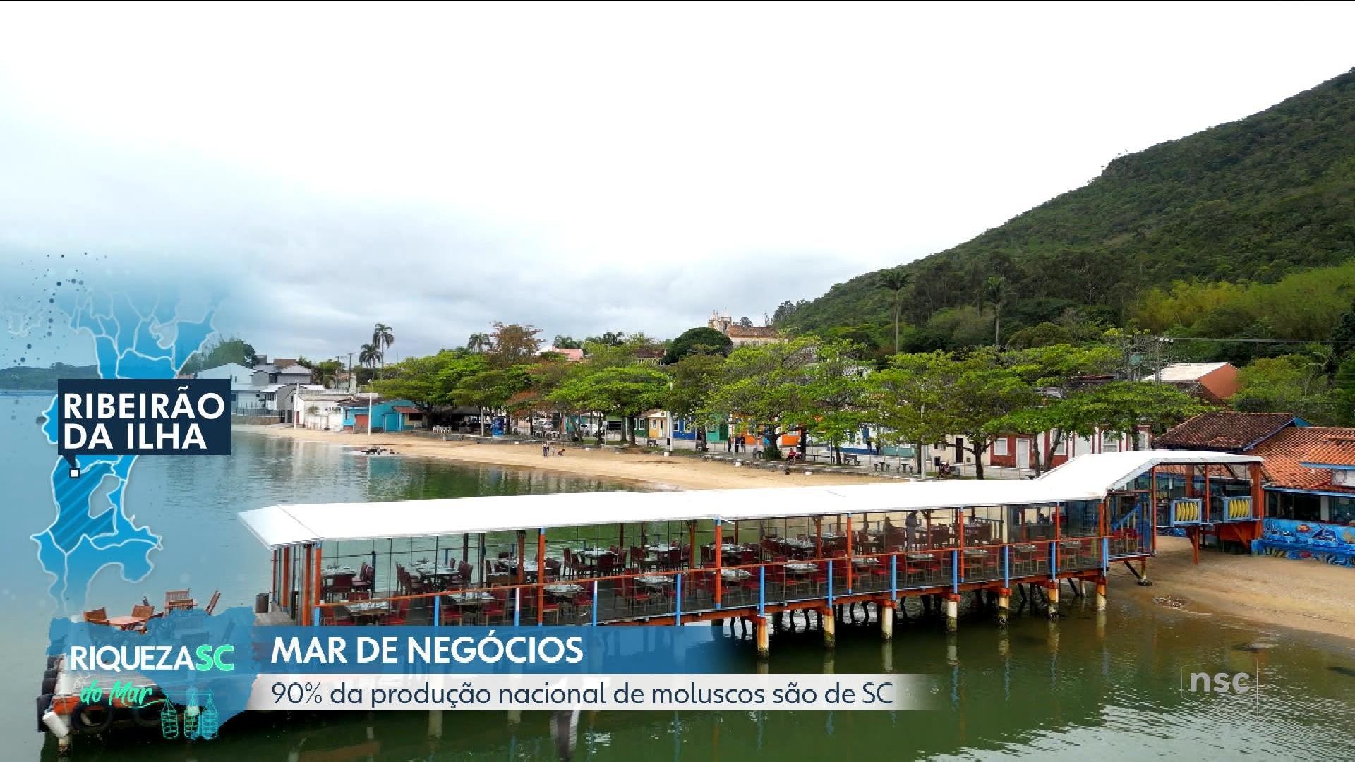 Série 'Riquezas do Mar' exalta economia portuária e náutica de SC; REVEJA os episódios