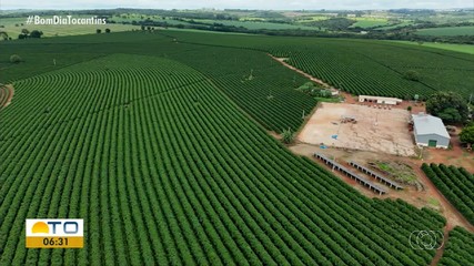 Confira os assuntos em destaque no Jornal do Campo deste domingo (2)