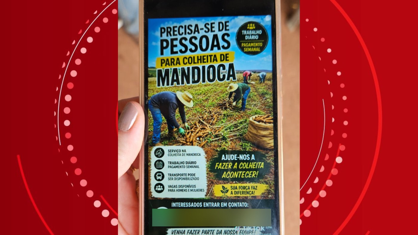 'Sua força faz a diferença': anúncio em rede social atraiu trabalhadores que foram colocados em condições análogas às de escravo no Paraná