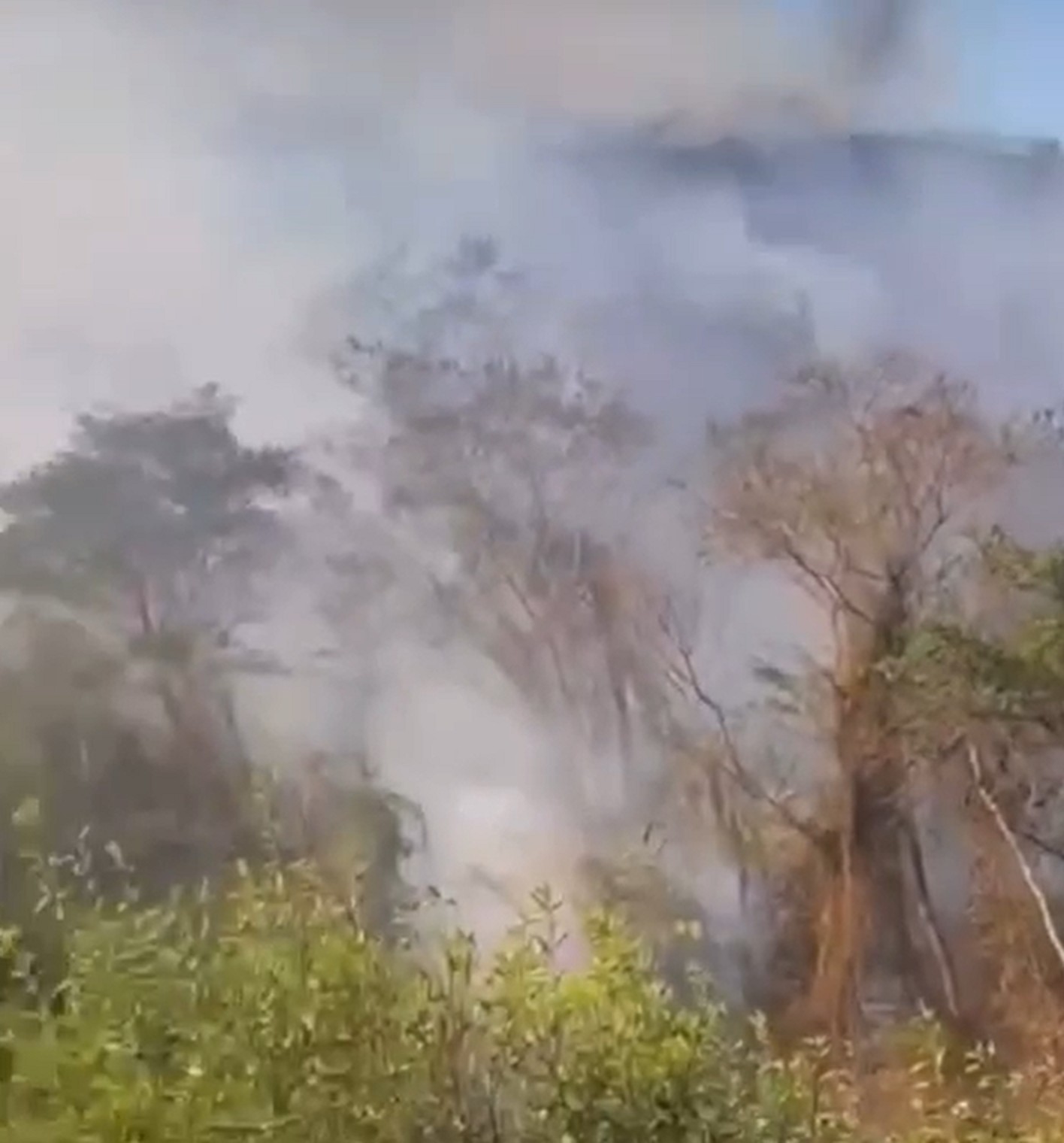 Incêndio em vegetação destrói vegetação em Campos e São Fidélis, no RJ