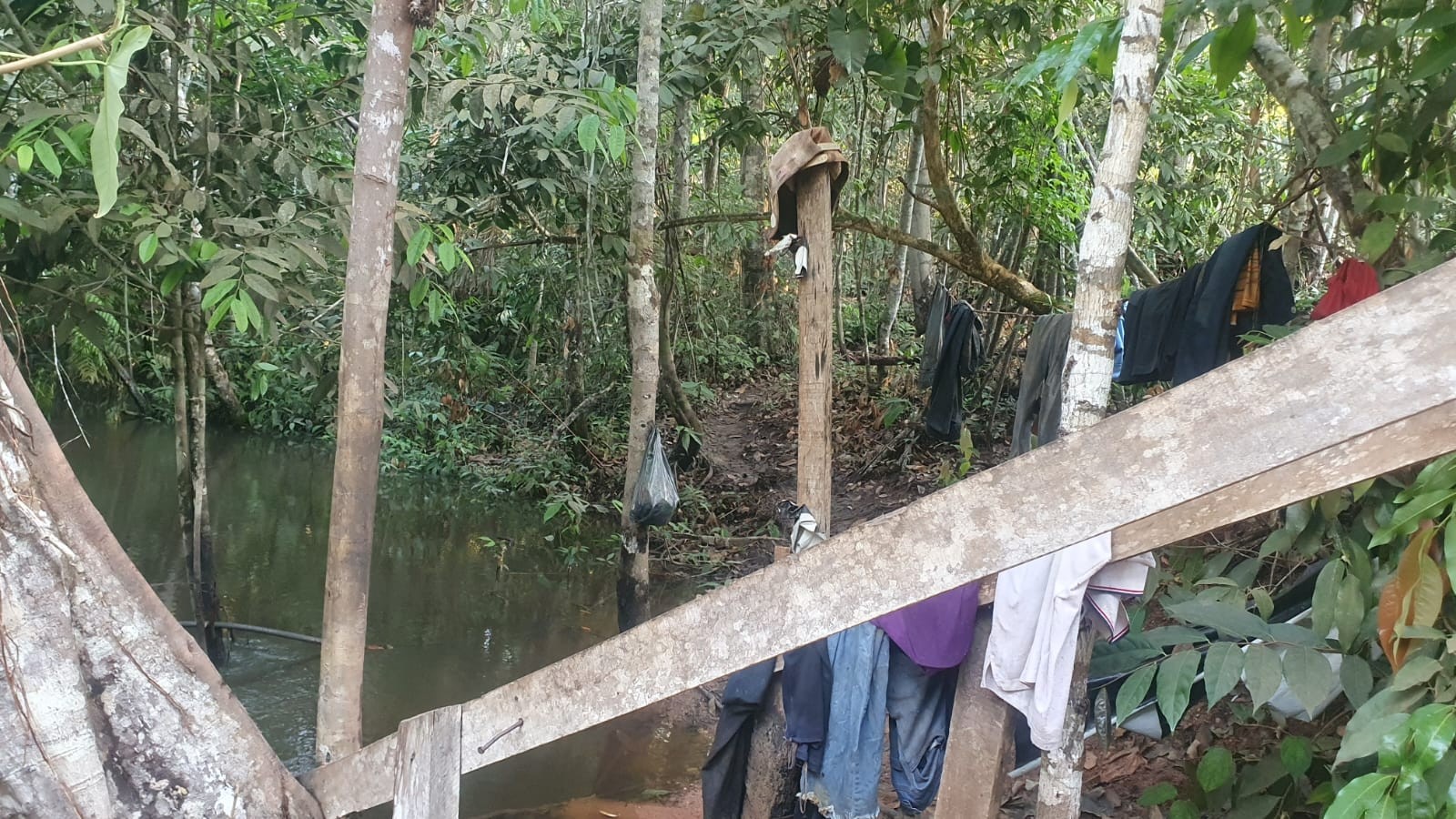 Grupo em trabalho análogo à escravidão é resgatado em área isolada de MT — Foto: MTE