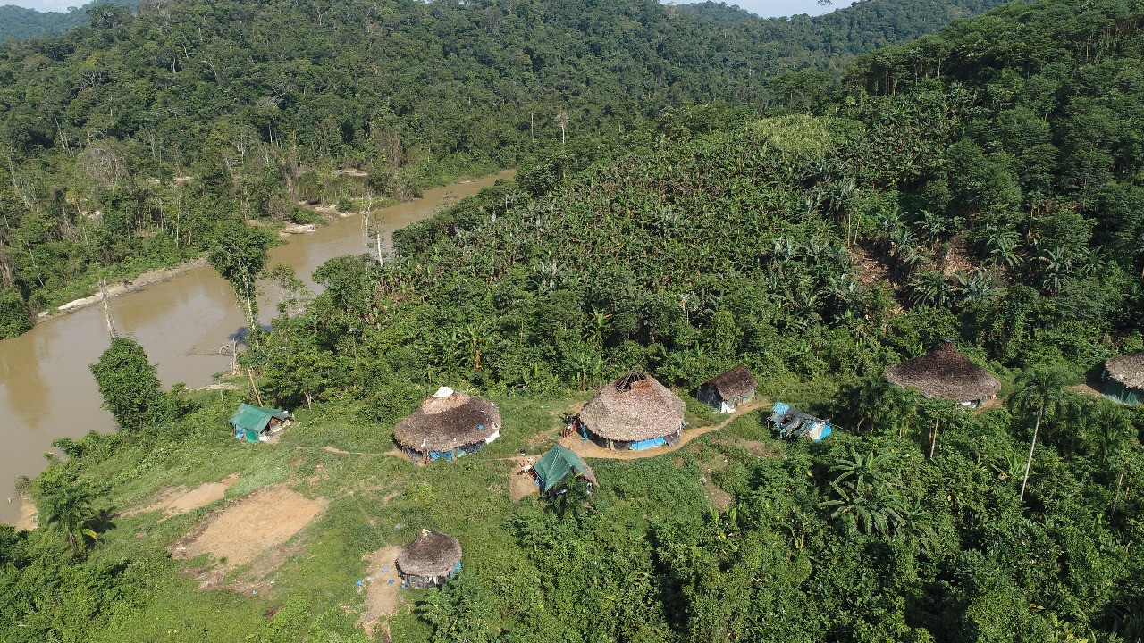 Criança Yanomami é encontrada morta com tiro na cabeça em Terra Indígena