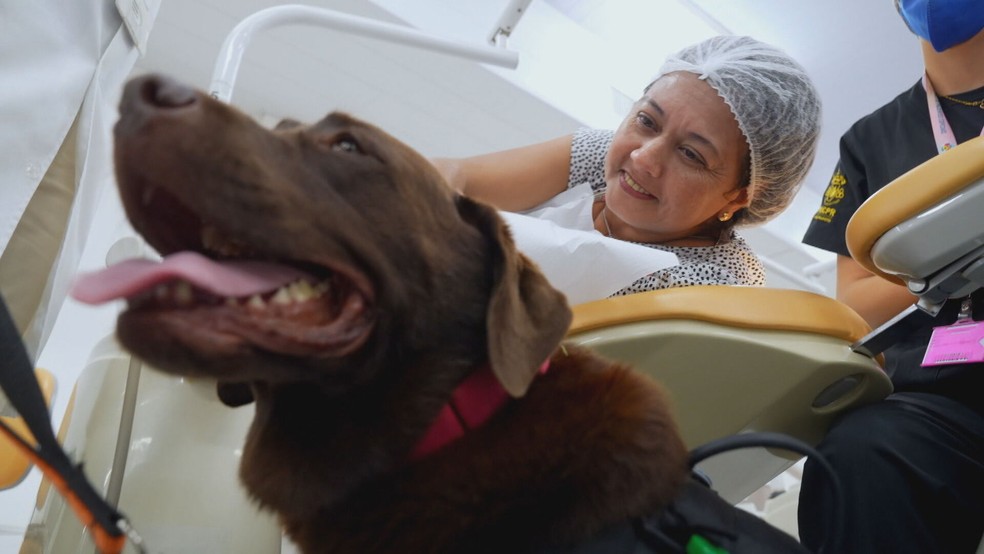 Cachorra reage com pacientes na sala durante atendimentos odontológicos — Foto: Reprodução/TV Globo