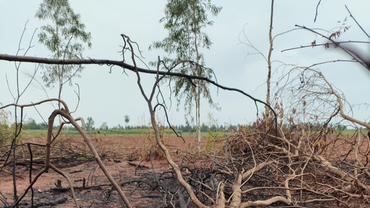 Sitiante é multado em mais de R$ 5 mil por uso de fogo em área agropastoril, em Teodoro Sampaio