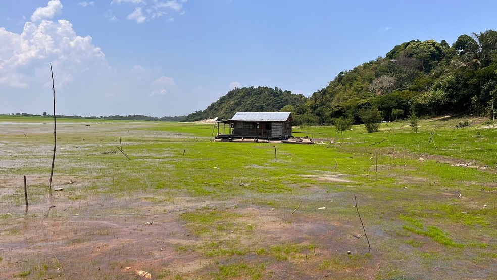 Seca 2023: Lago do Aleixo secou em Manaus — Foto: Gato Júnior/Rede Amazônica