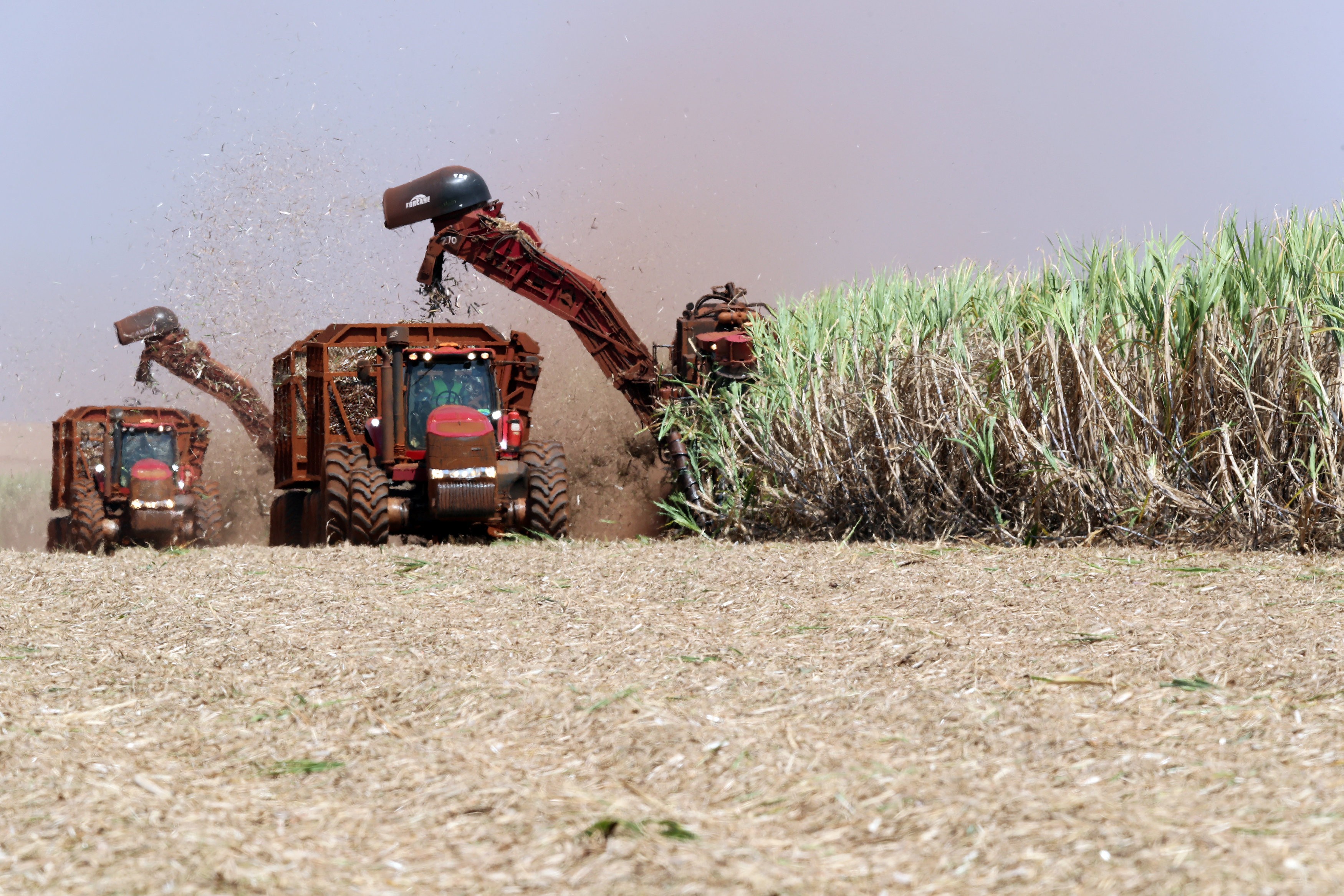 Brasil pode dobrar produção de biocombustíveis até 2050 sem precisar desmatar, aponta estudo