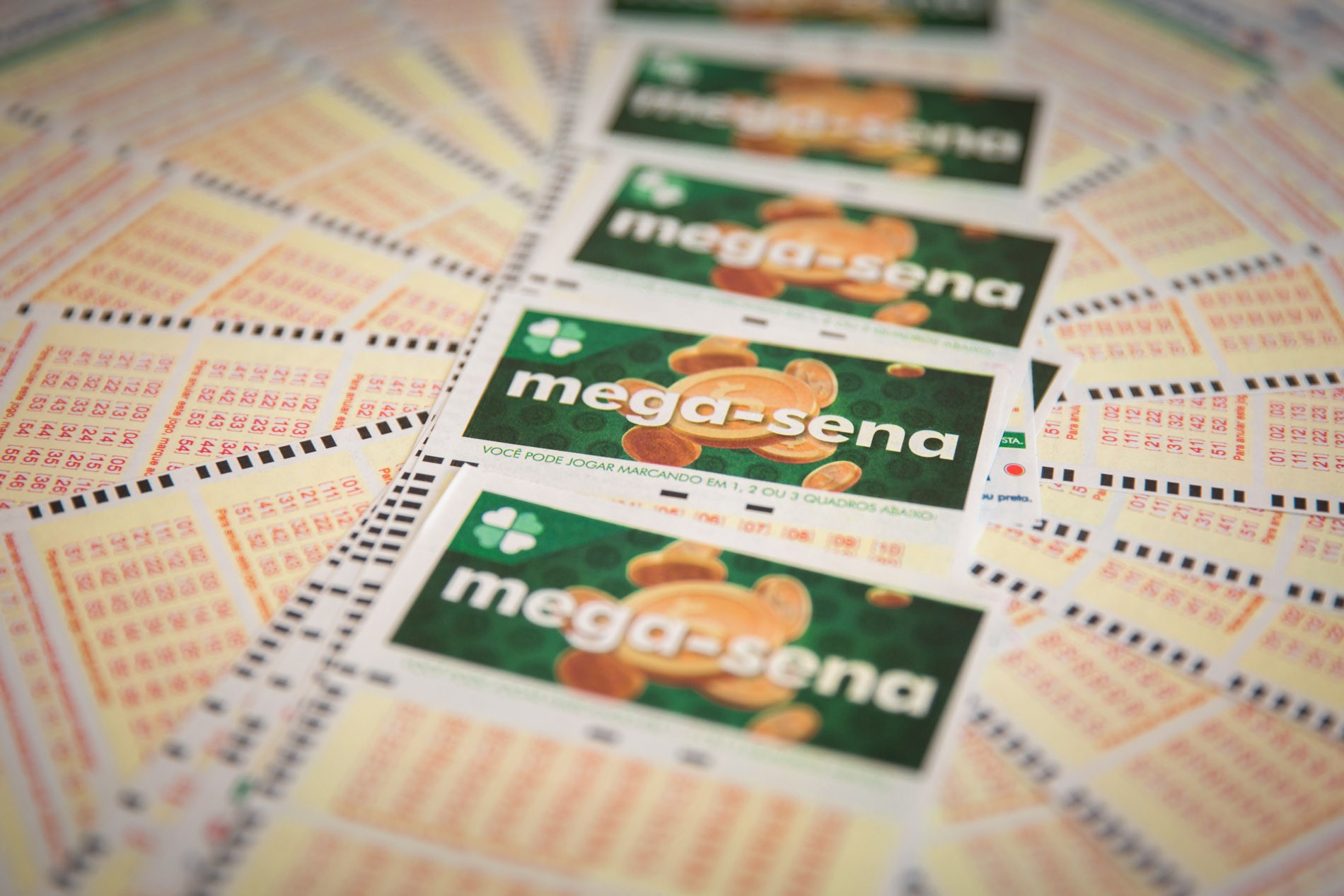 Mega-Sena, concurso 2.692: ninguém acerta as seis dezenas e prêmio acumula em R$ 120 milhões