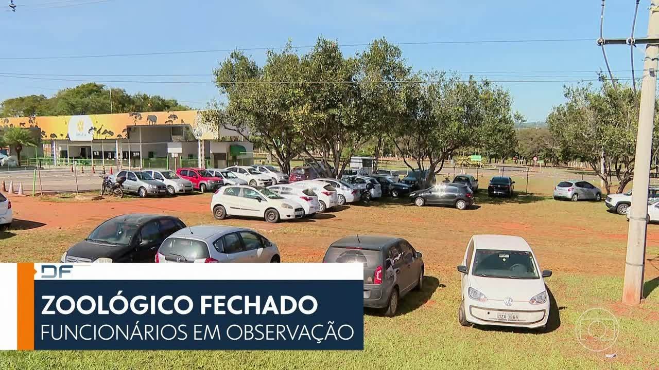 VÍDEOS: DF1 de sábado, 14 de junho de 2025