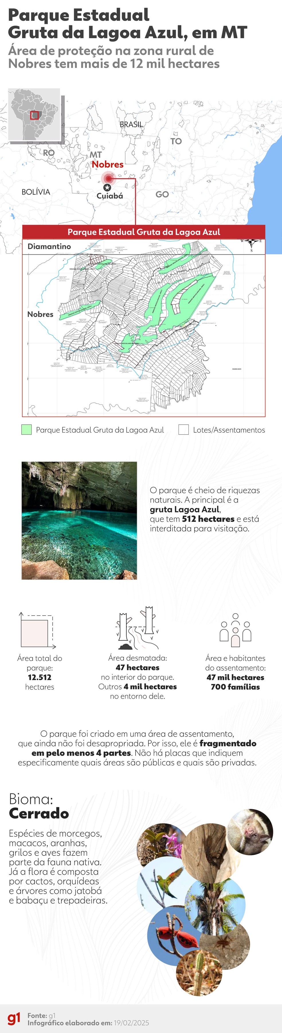 Parque Estadual Gruta da Lagoa Azul, em Nobres (MT) — Foto: Arte g1