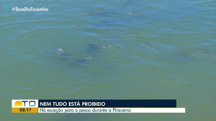 Entenda o que está liberado durante período de piracema no Tocantins