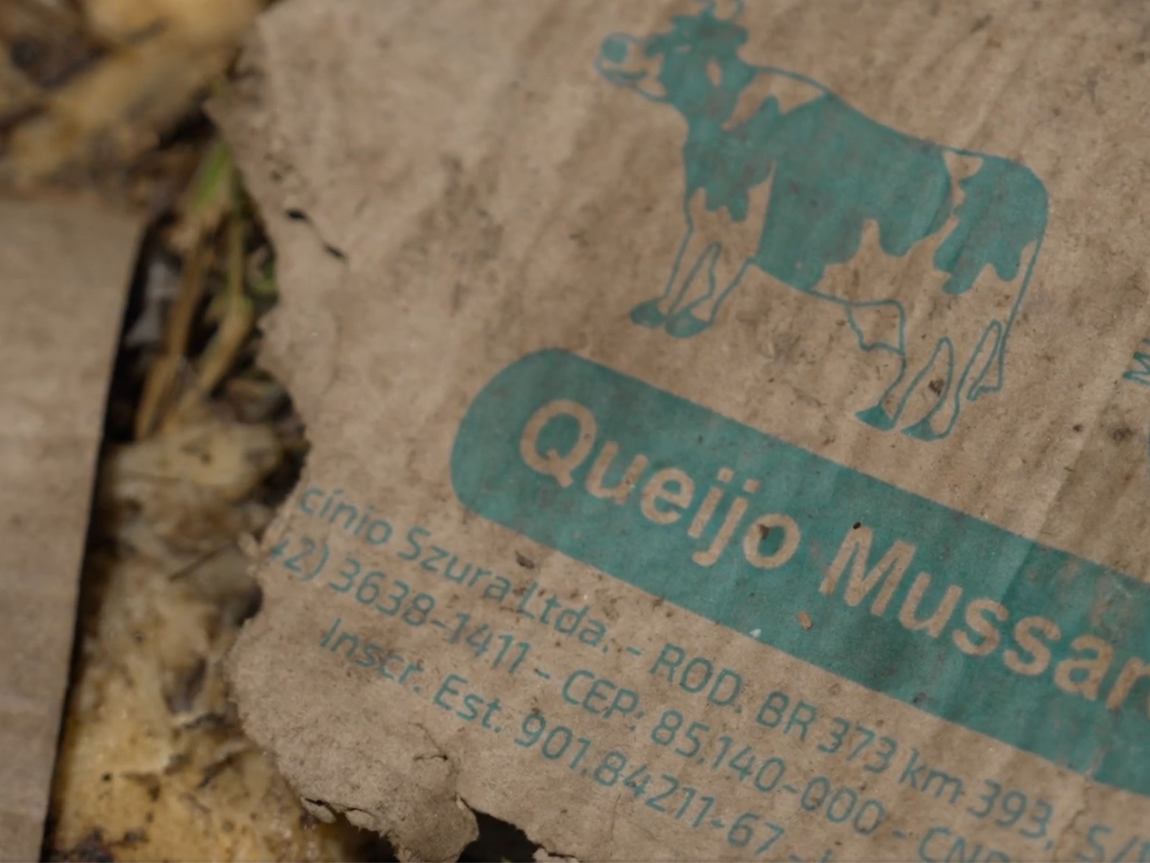 Trio que causou acidente com 6 mortos no PR queria derrubar caminhão para roubar carga de queijos, diz delegado