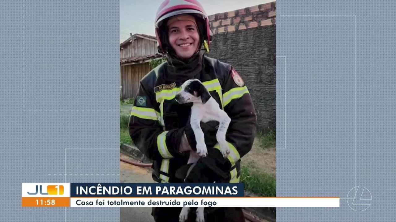 Bombeiros resgatam cachorro preso em quarto durante incêndio que destruiu casa em Paragominas, no Pará