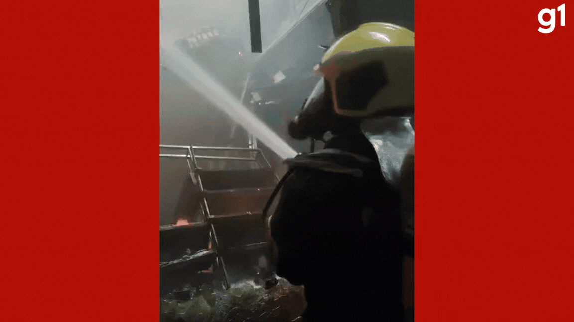 Vídeo: incêndio destrói loja e suspende funcionamento de shopping em Tangará da Serra (MT)