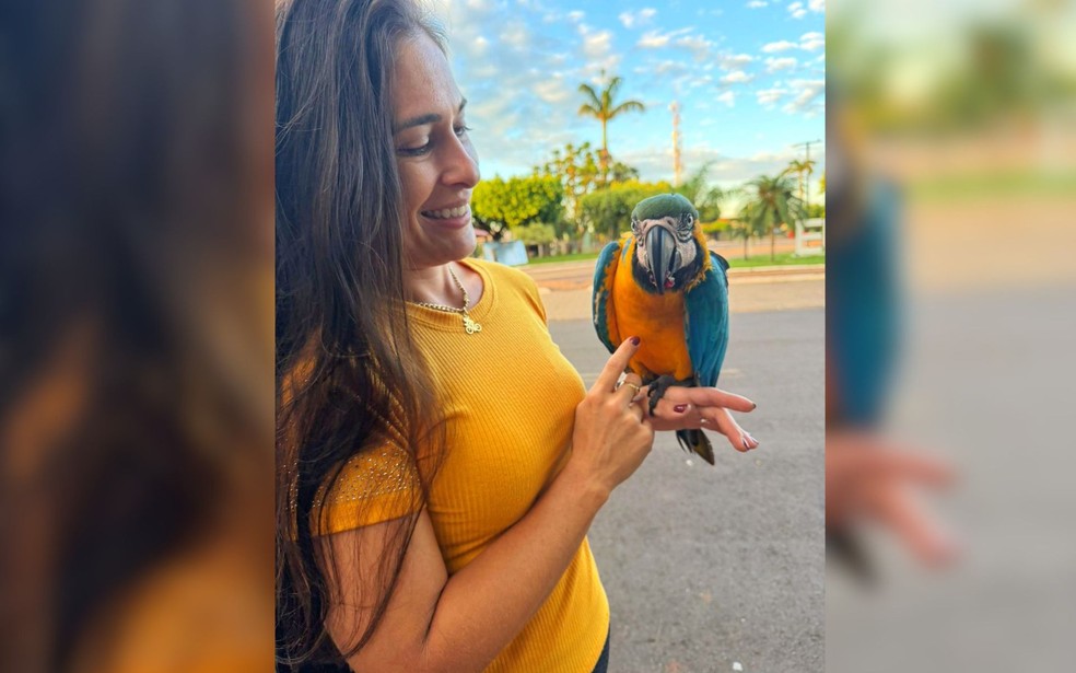 Laysa Lu&iacute;sa Grigolete e arara-canind&eacute; em Dolcin&oacute;polis (SP) &mdash; Foto: Arquivo pessoal