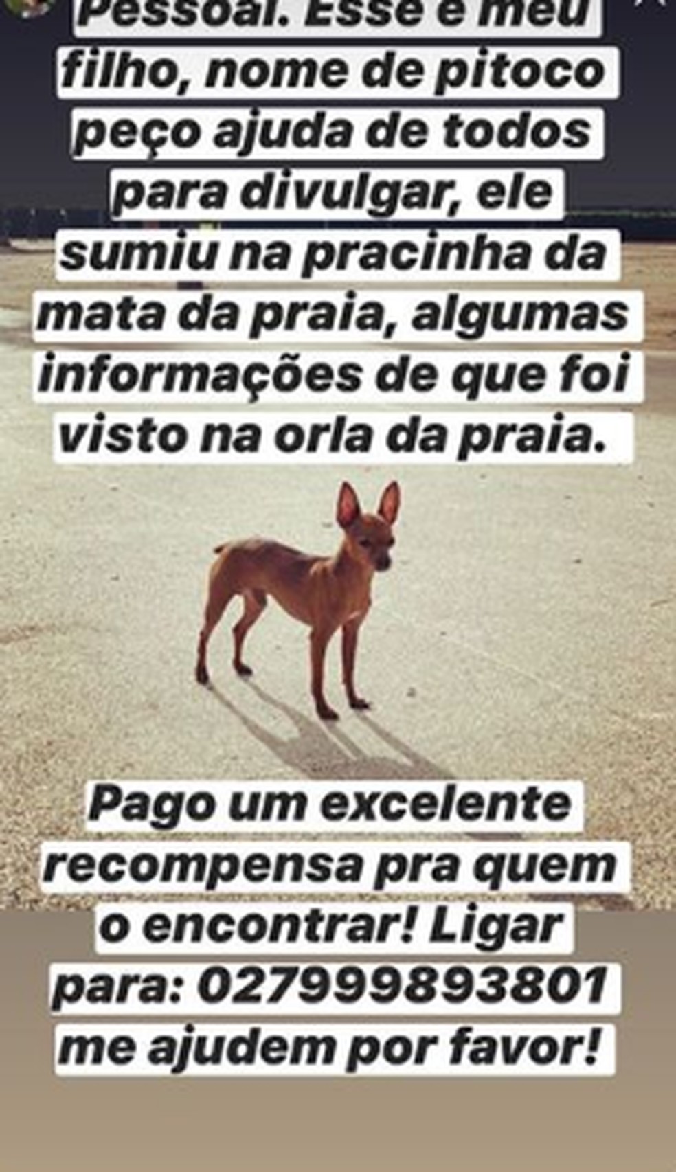 meu cachorro morreu e agora não tenho dinheiro para spoofer no