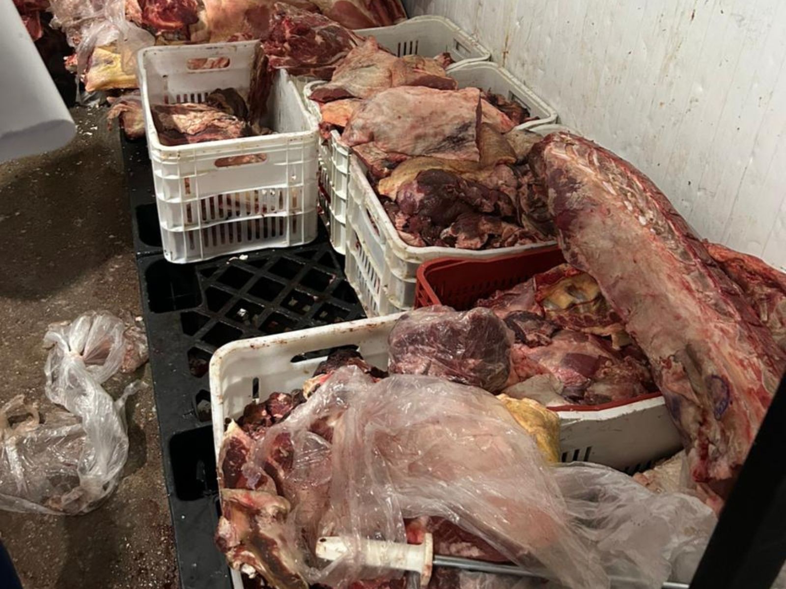 Quase duas toneladas de alimentos estragados são apreendidas em supermercados no AC