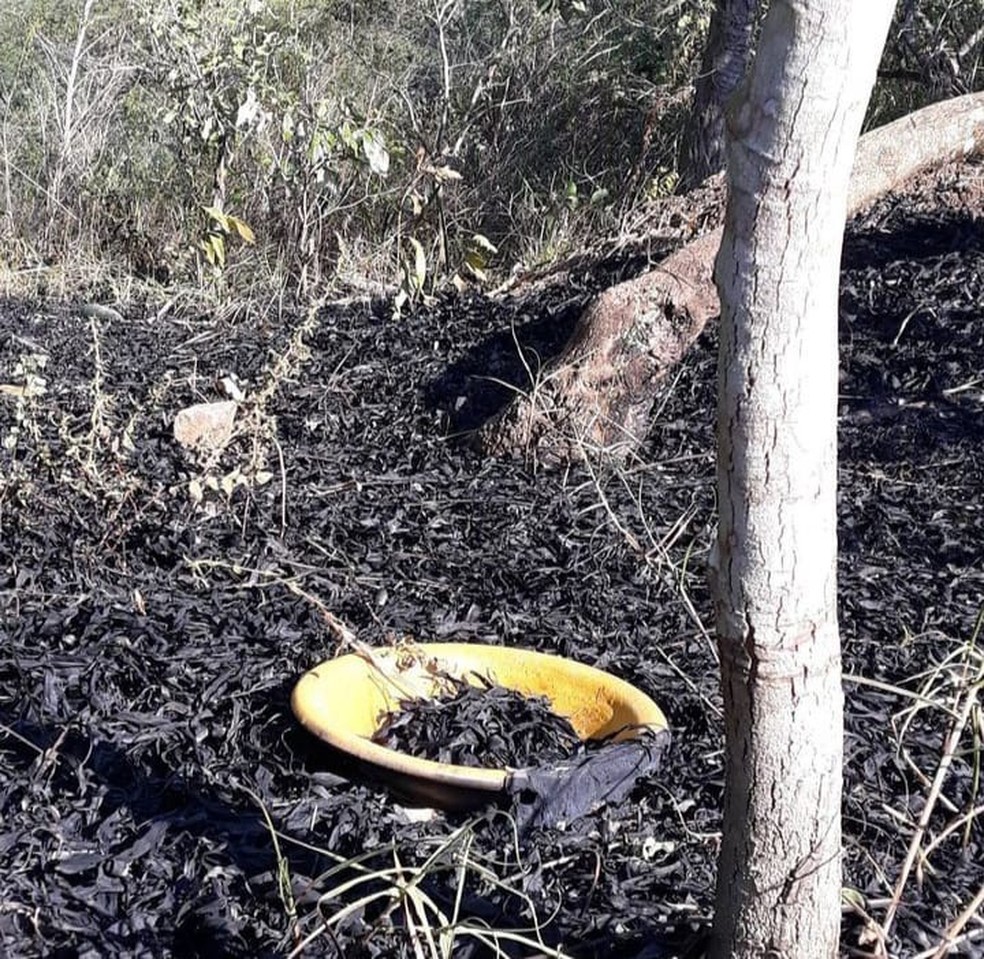 Foto mostra agdás destruídos no assentamento de Exu, em 2020 — Foto: Pai Duda de Candola/Arquivo pessoal