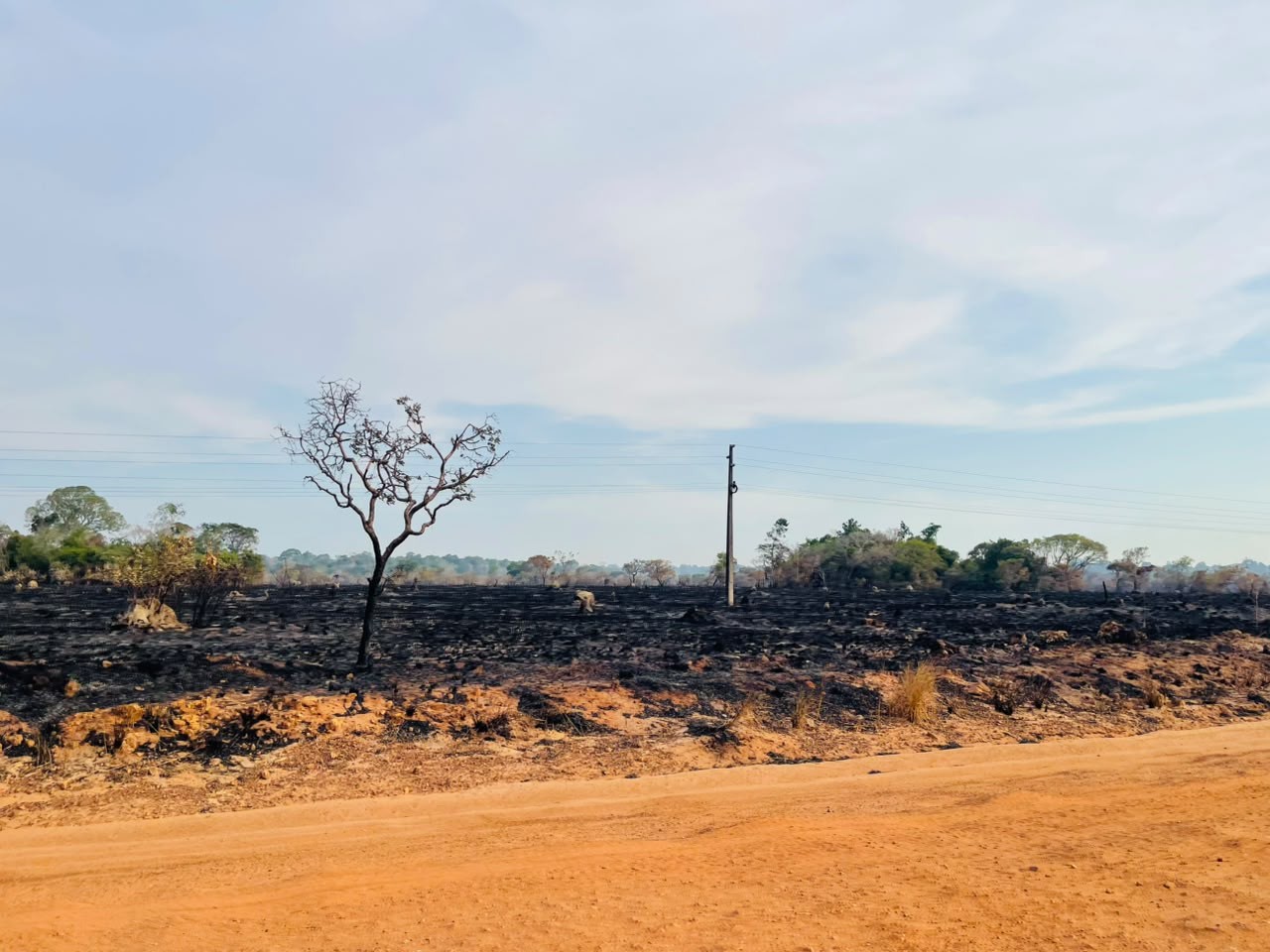 Bombeiros e moradores controlam incêndio florestal na região do Arapixuna, em Santarém