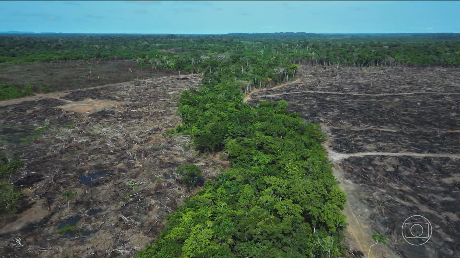 Desmatamento na Amazônia aumenta no primeiro semestre de 2025 depois de 2 anos em queda