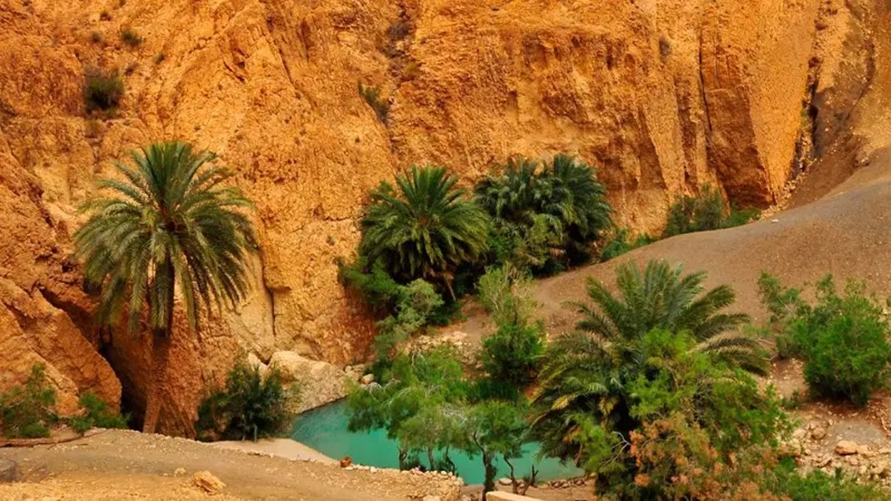 Há milênios que os oásis nos atraem e cativam, oferecendo refúgio ao viajante do deserto com suas piscinas e sombras — Foto: Getty Images via BBC