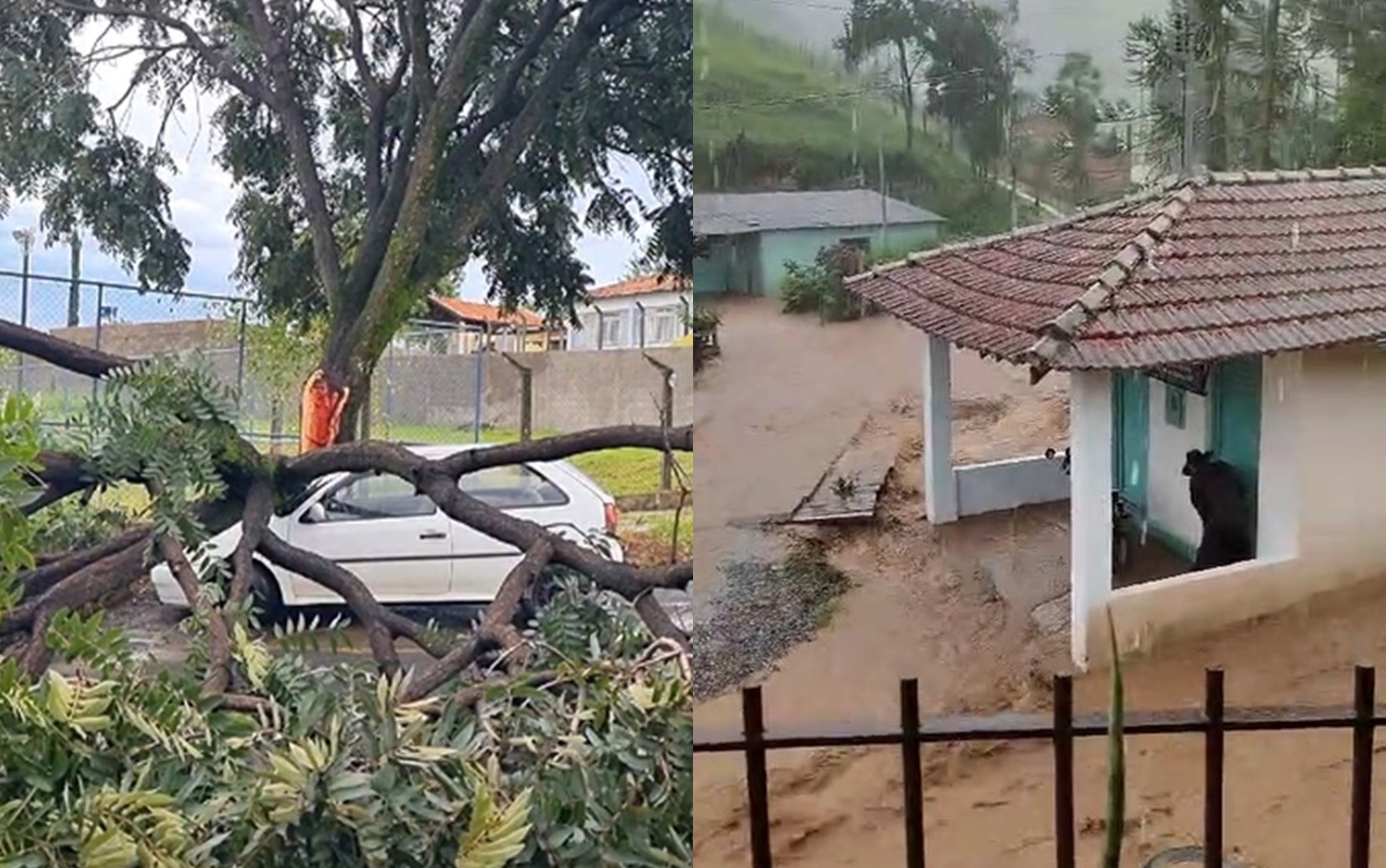 Chuva faz rio transbordar, alaga ruas, derruba árvores e danifica casas no Sul de Minas