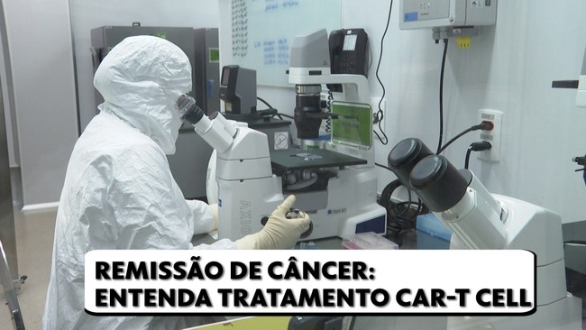 Saiba o que  a terapia celular contra o cncer aplicada em estudo na rede pblica