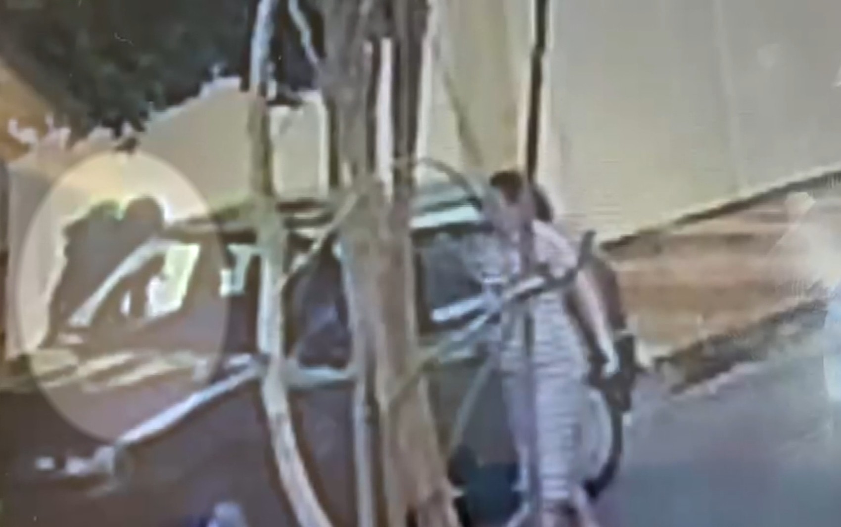 Mulher passa mal, bate carro em árvore e tem bolsa furtada em Jaboticabal, SP; VÍDEO