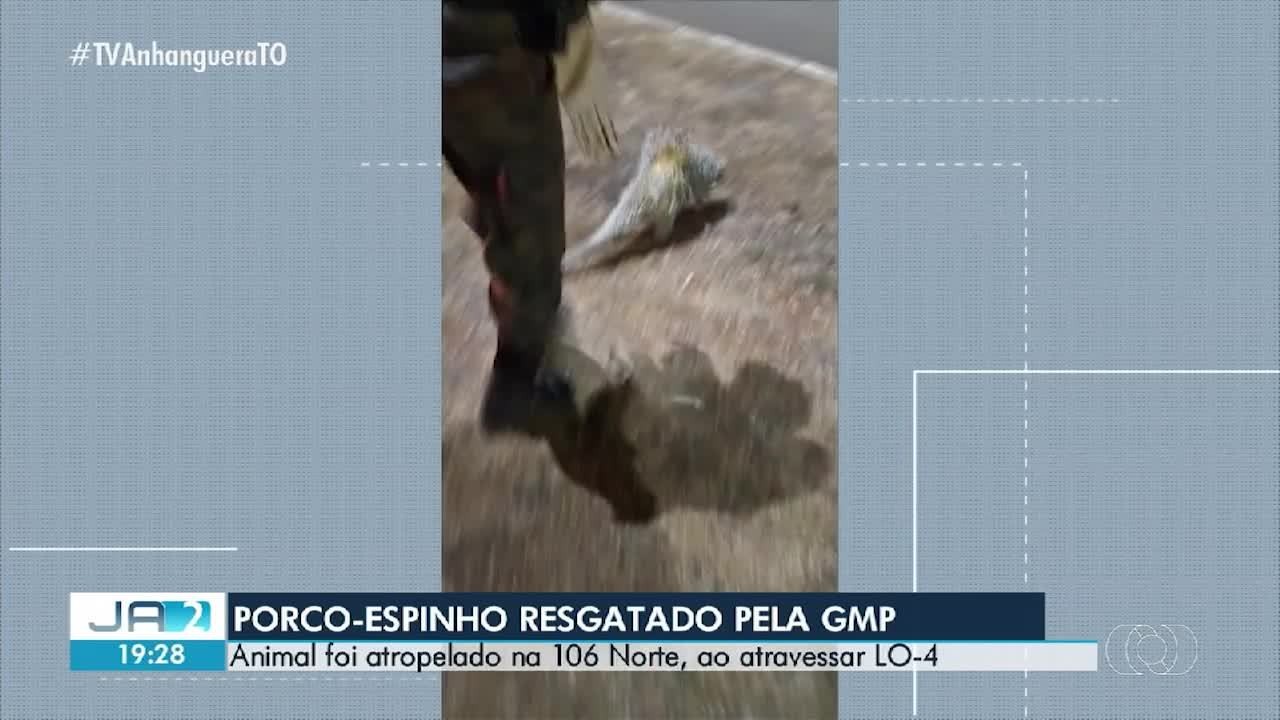 VÍDEOS: Jornal Anhanguera 2ª Edição-TO de quinta-feira, 03 de setembro de 2026...
