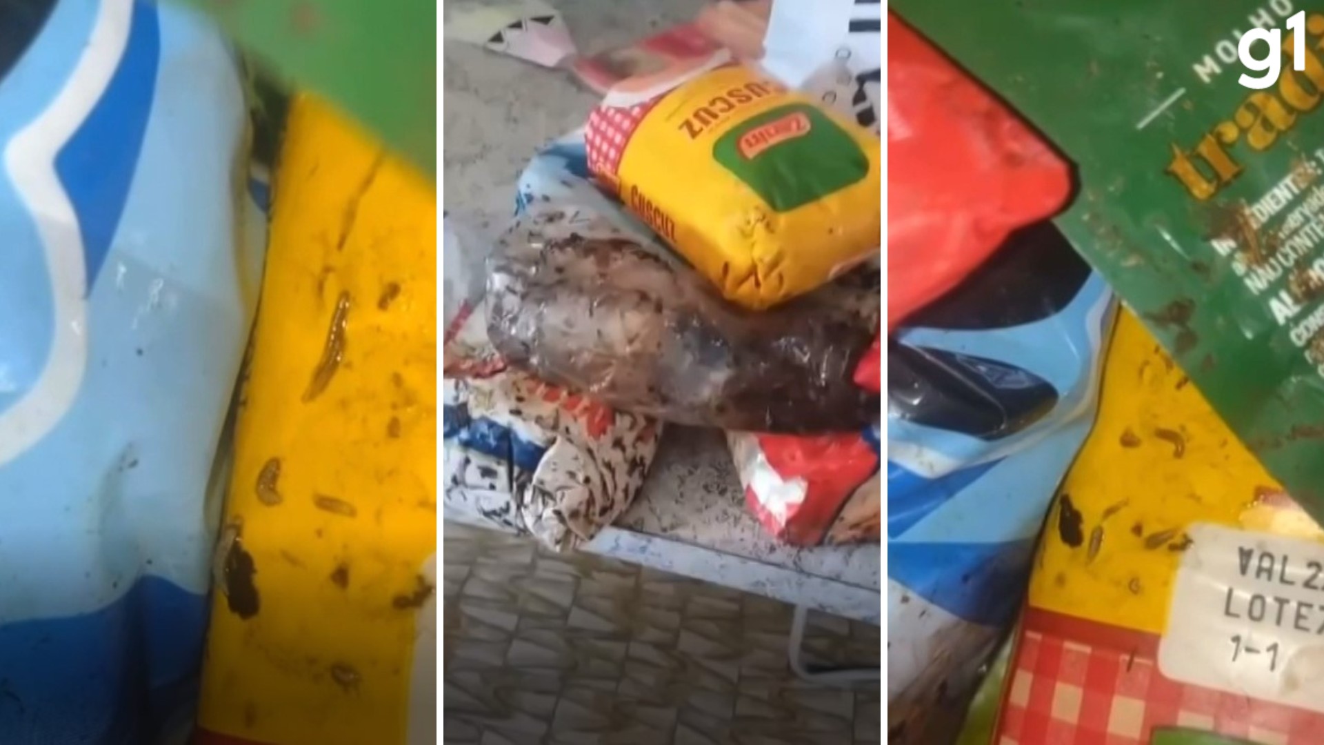 VÍDEO: Cestas básicas entregues por prefeitura no RS continham larvas e alimentos estragados, dizem moradores