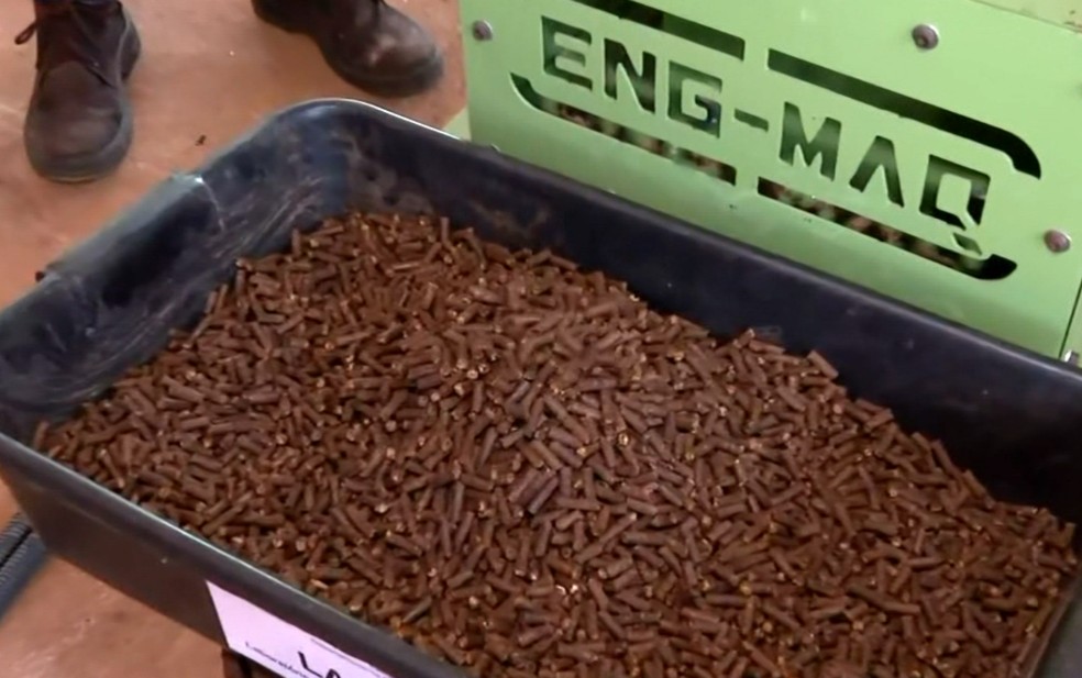 Resíduo do café vira energia: estudo da UFLA cria biocombustível a partir da casca do grão — Foto: Reprodução EPTV