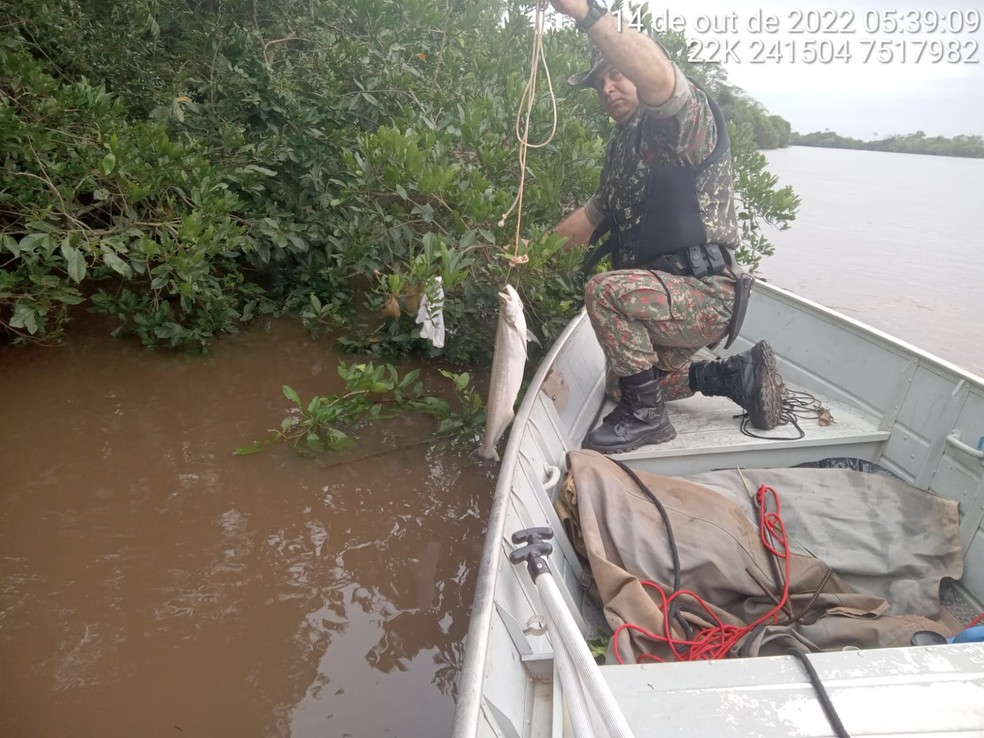 ICNF deteta prática ilegal de pesca no rio Guadiana e na zona de