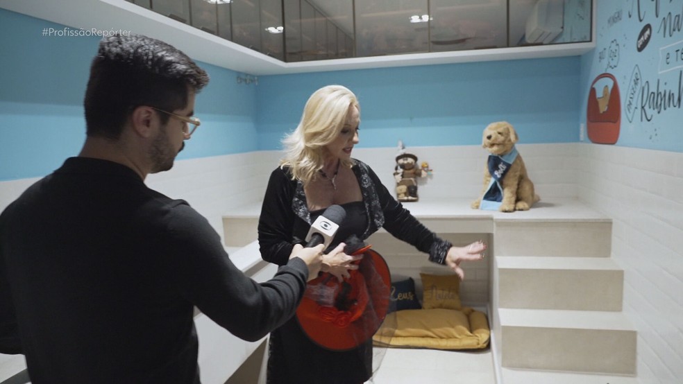 Mansão avaliada em R$ 11 milhões tem suíte exclusiva para pets, equipada com área de banho, secagem e closet — Foto: Reprodução/TV Globo