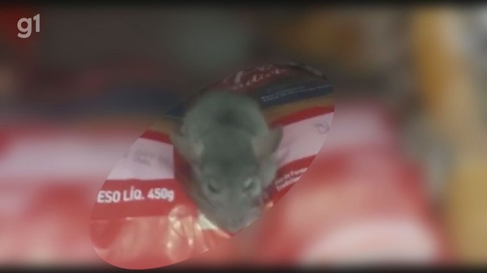 Cliente encontra rato em filial das Lojas Americanas