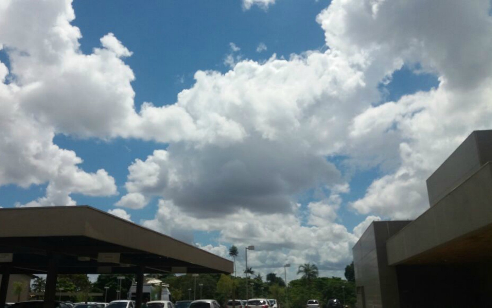 Previsão em MS: temporais e calorão marcam começo de dezembro