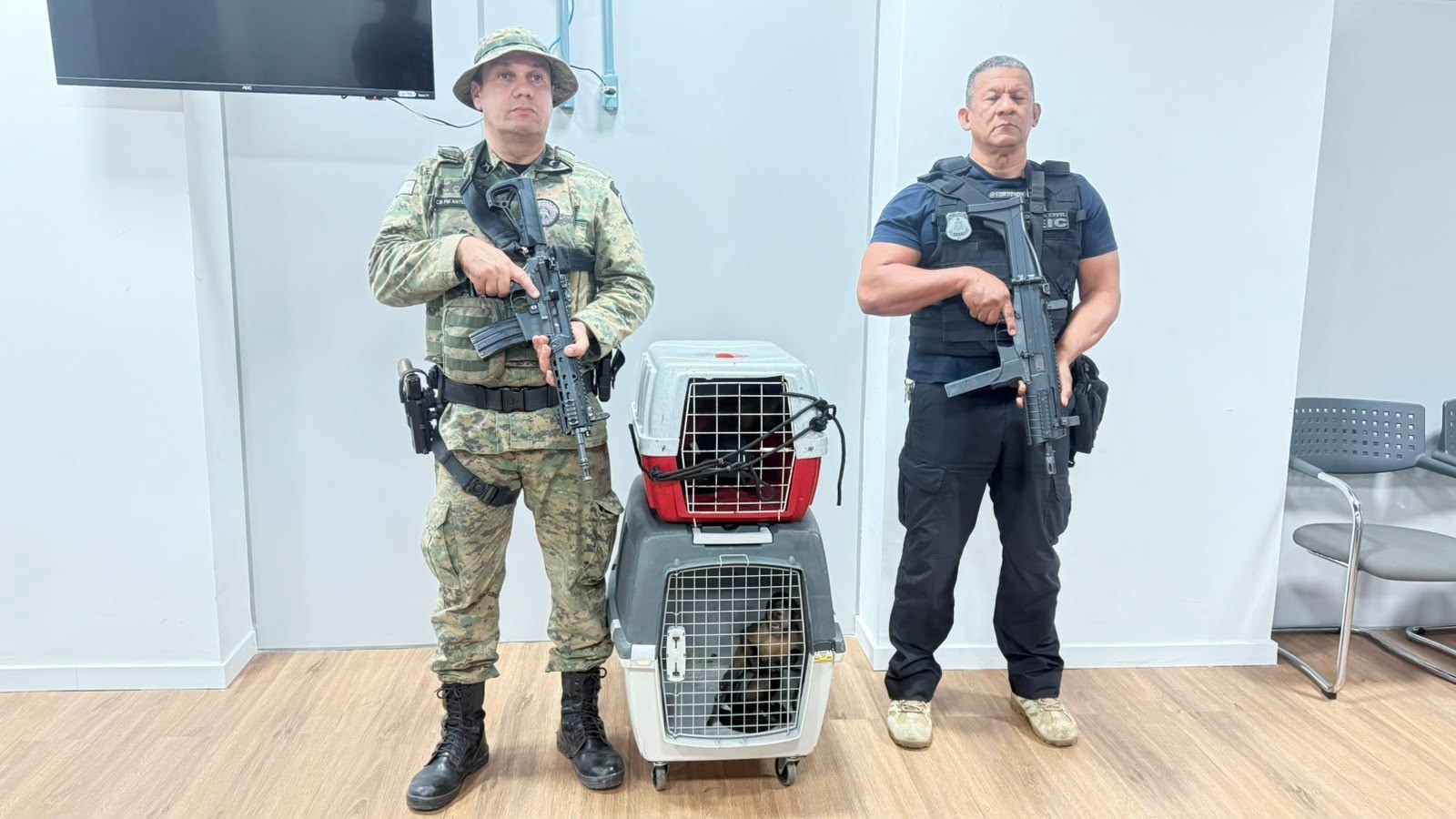 Polícia Civil resgata dois macacos-prego e prende suspeito de vender animais por até R$ 20 mil em Salvador