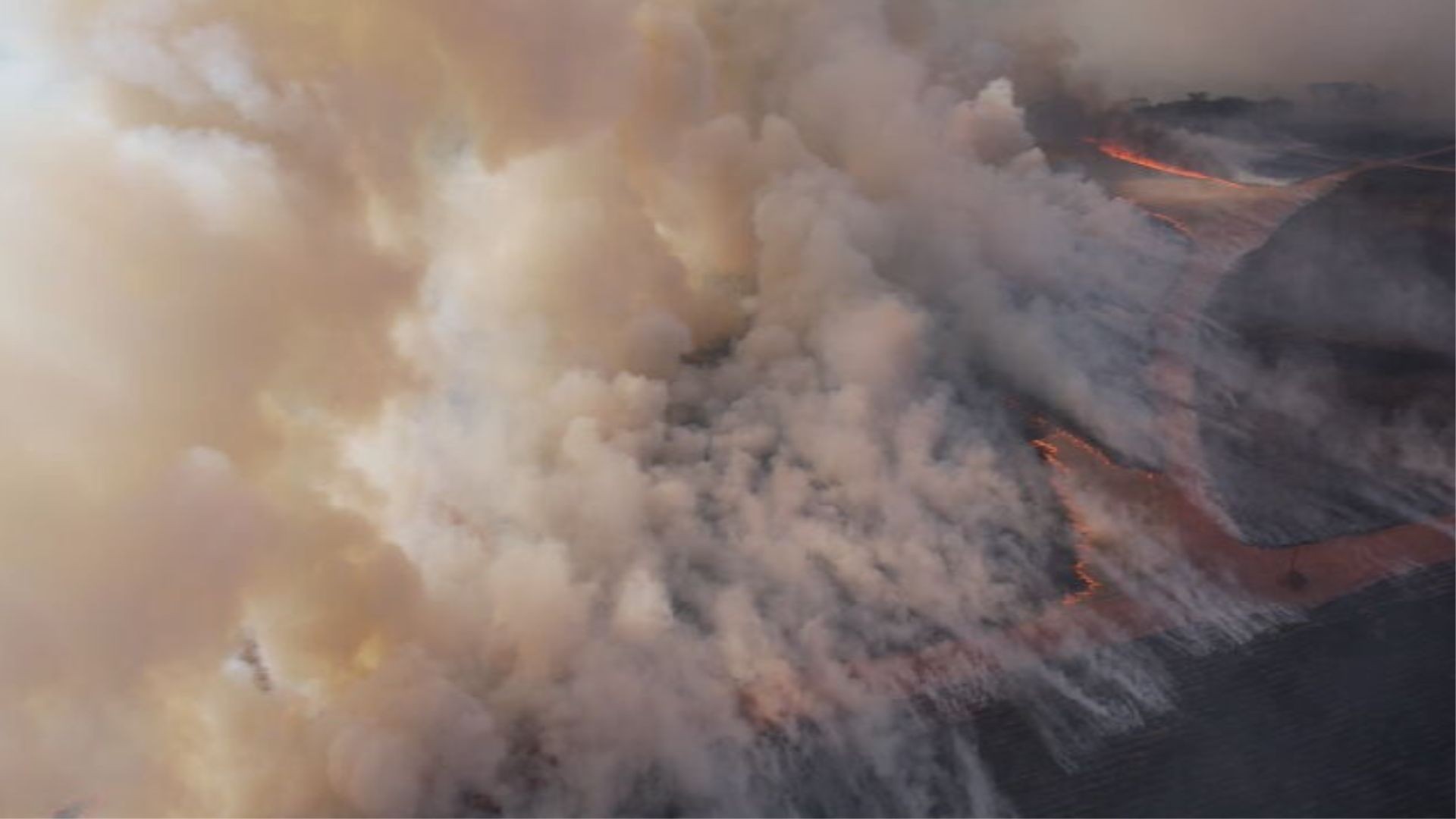 Incêndios causam interdição de rodovia, morte de animal e atingem áreas de preservação ambiental no interior de SP 