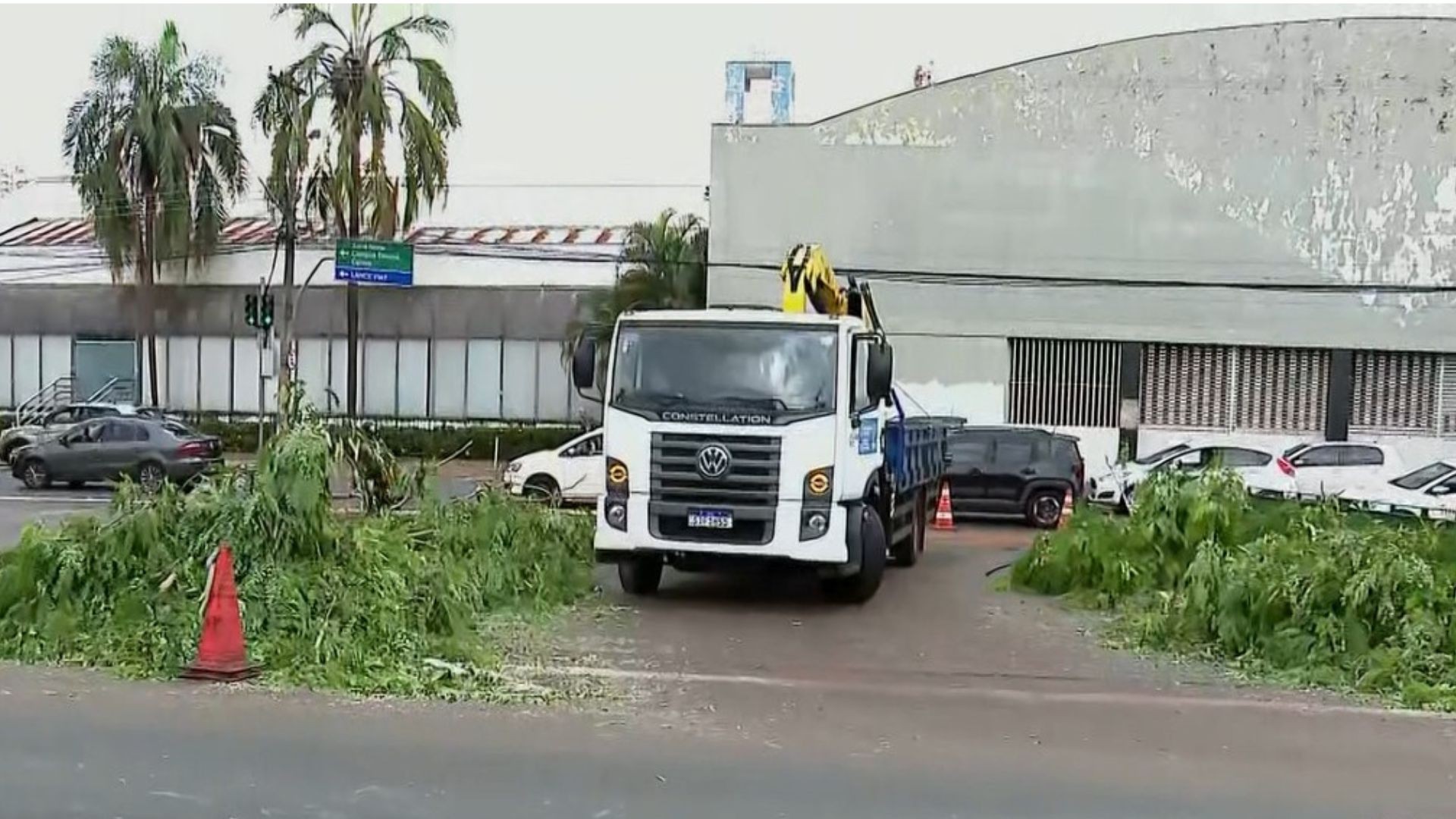 Avenida Francisco Junqueira é liberada parcialmente após ser 'fechada' por árvore gigante que caiu durante temporal em Ribeirão Preto 